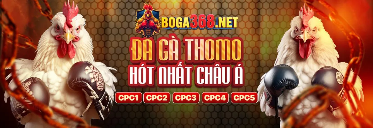Hình ảnh chính về sòng bạc trực tuyến và chiến lược chơi tại kube3933 win